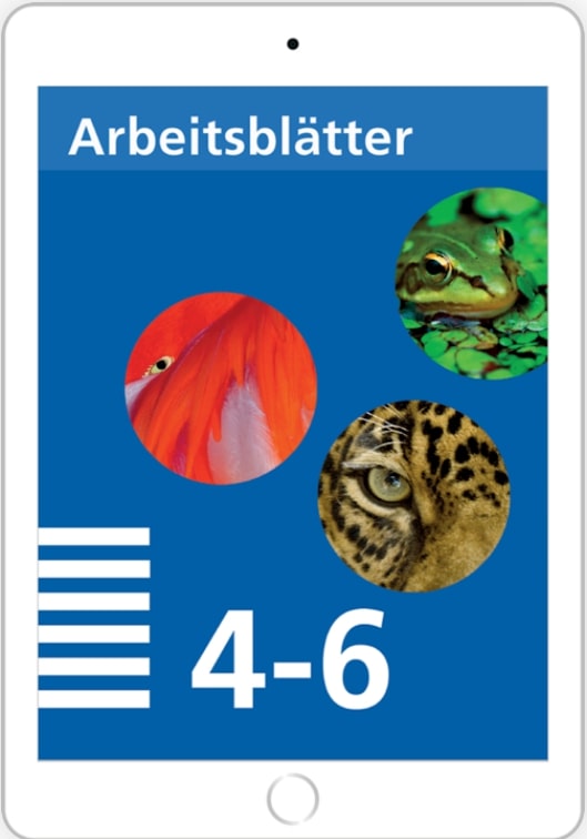 Mathematik 4-6 Arbeitsblattvorlagen digital für Lehrpersonen