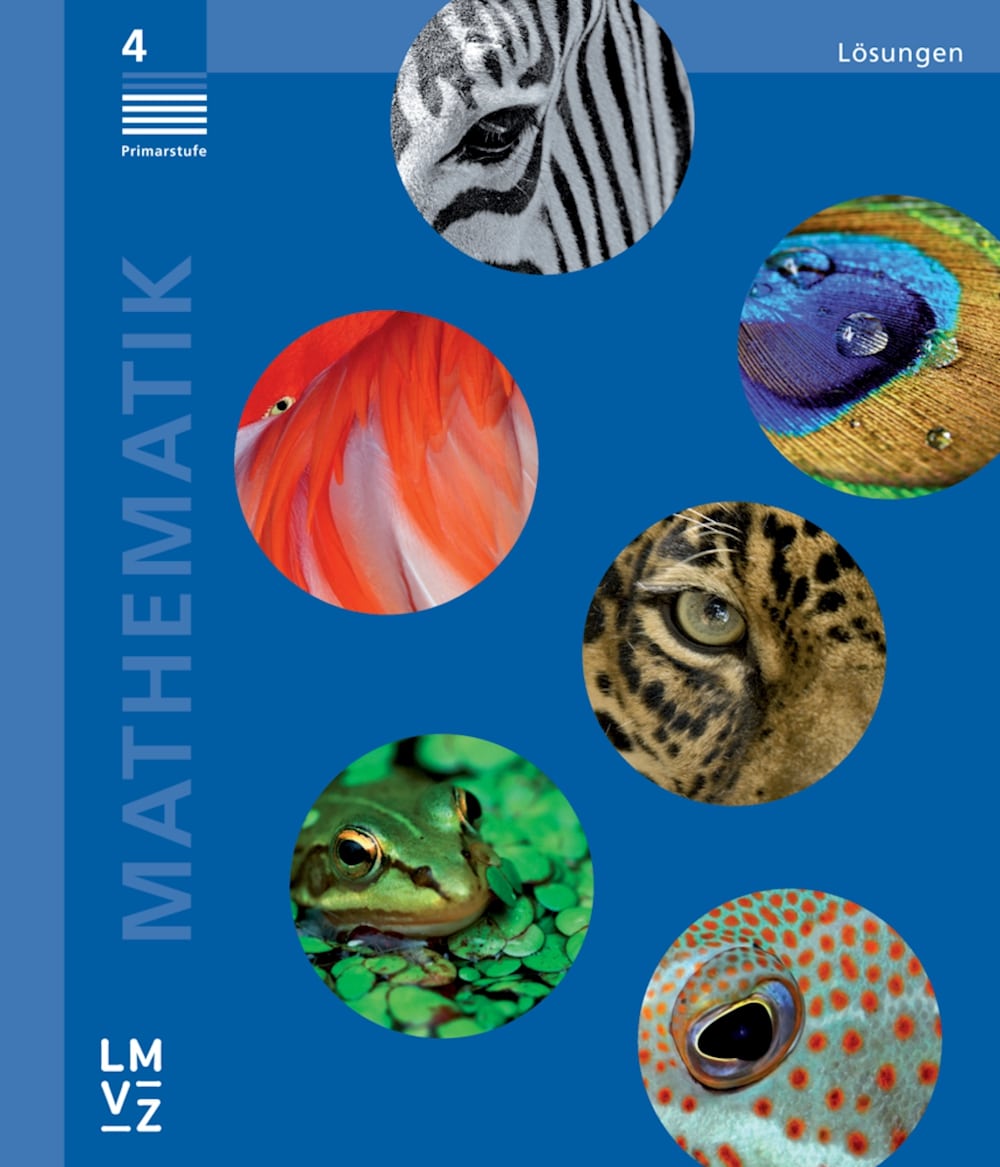 Mathematik 4 Lösungen